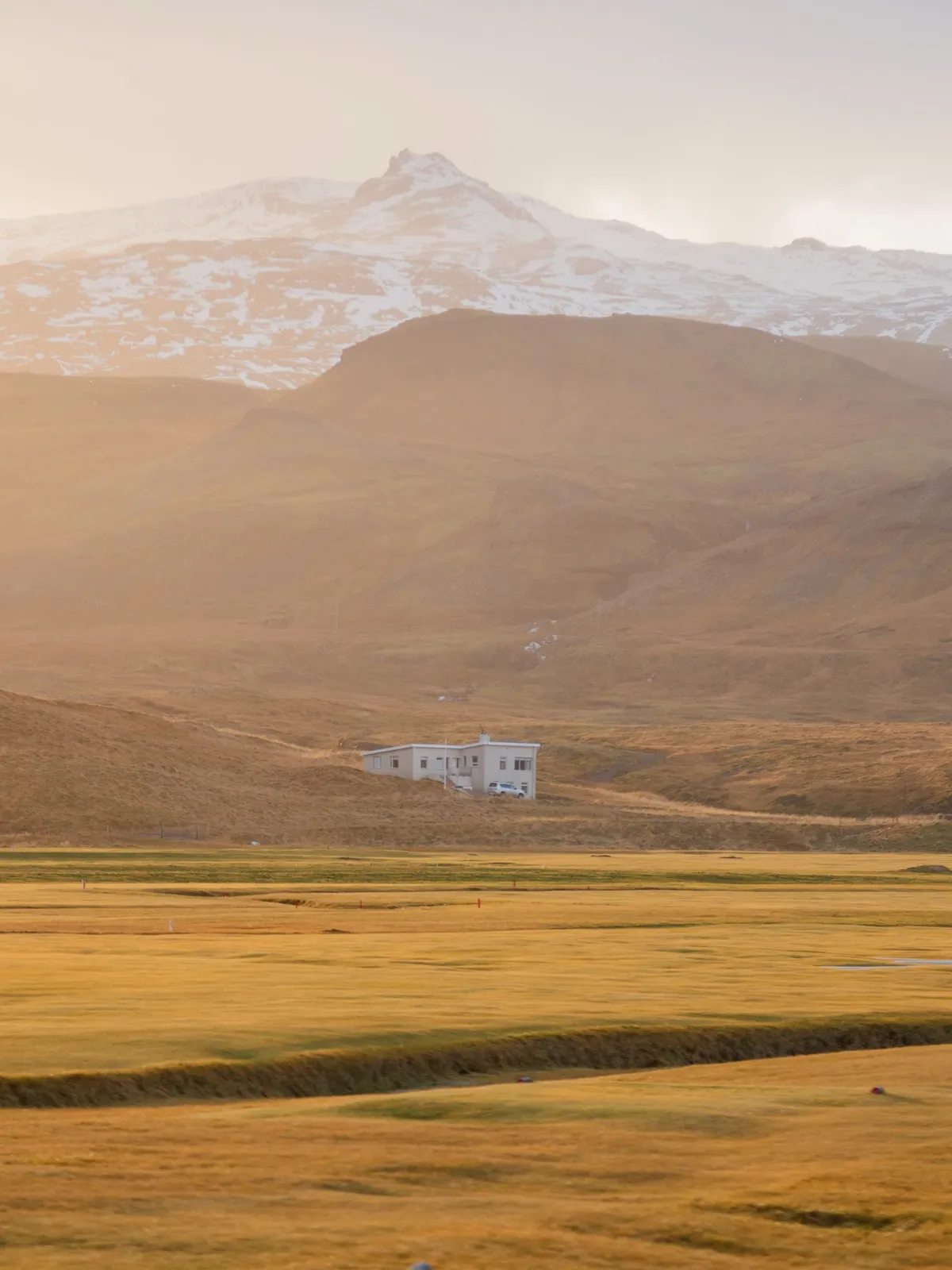 A golden valley below a snowy peak in Iceland