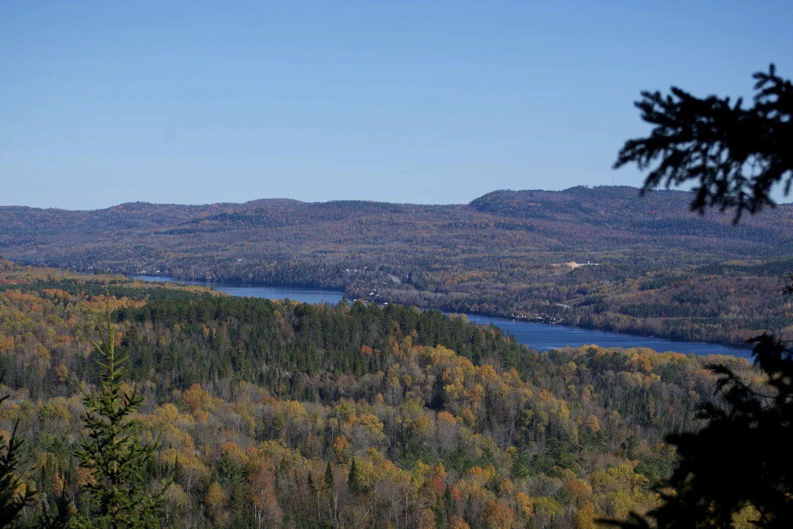 Autumn forest and a long lake in Québec